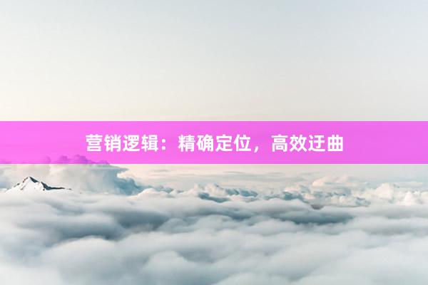 营销逻辑：精确定位，高效迂曲